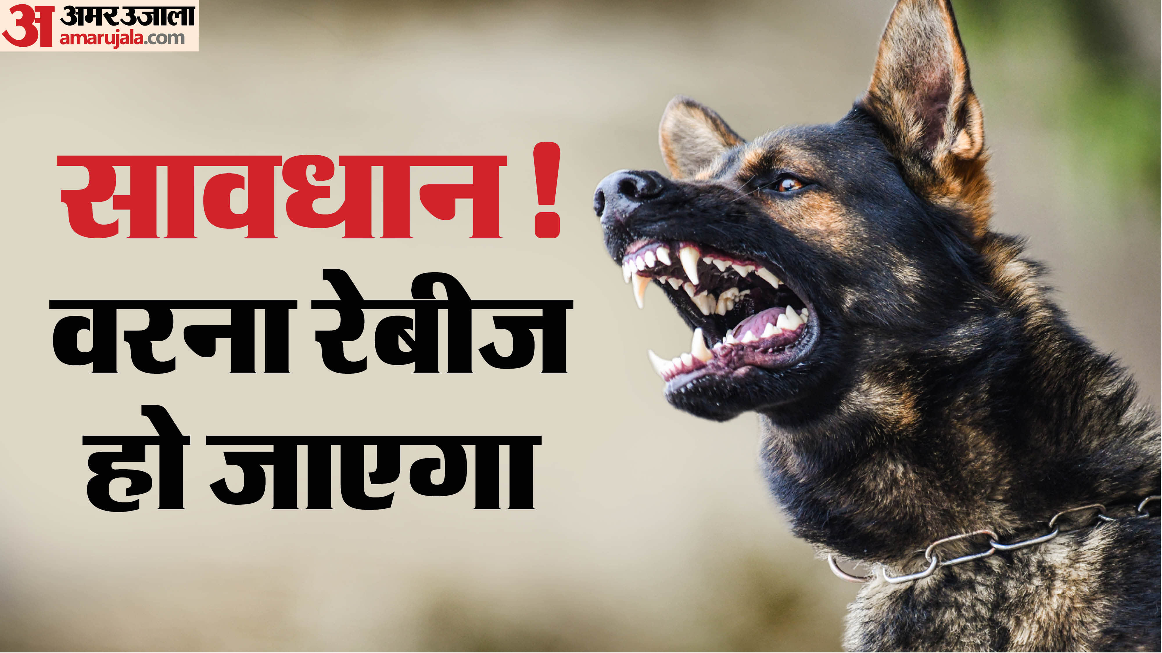 rabies symptoms in hindi causes of rabies in humans rabies kaise hota hai