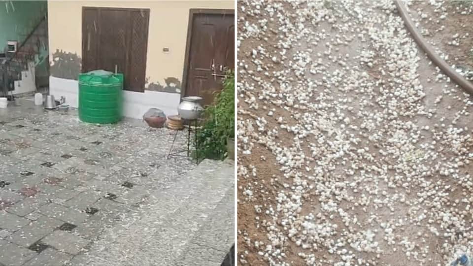 हरियाणा में हुई ओलावृष्टि