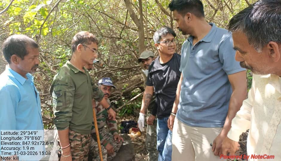 जंगल में रेस्क्यू करते वन विभाग के कर्मचारी।