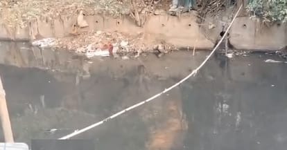 Kanpur Bioremediation Exists Only on Paper as Pandu and Ganga Rivers Continue to Deteriorate