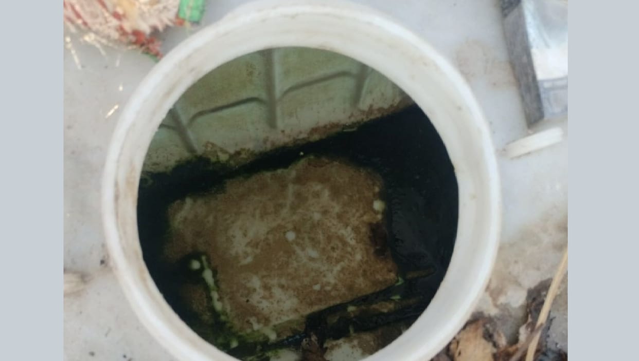 Kanpur Bioremediation Exists Only on Paper as Pandu and Ganga Rivers Continue to Deteriorate