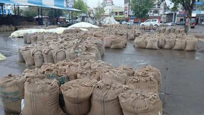Rain and Hailstorm in Haryana Toady Weather News