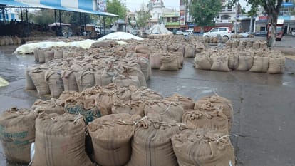 Rain and Hailstorm in Haryana Toady Weather News