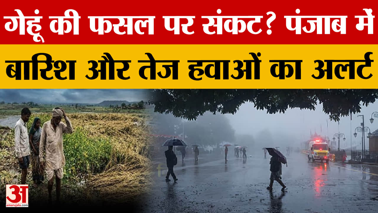 पंजाब मौसम: 18 जिलों में यलो अलर्ट, तेज हवाएं और बारिश की चेतावनी