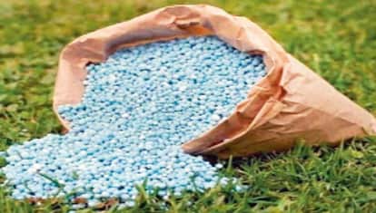 Despite Supply Shortages, Farmers to Receive Urea and DAP at Fixed Prices News In Hindi
