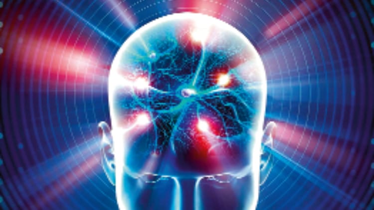 Brain: जन्म से 100 साल तक बदलता रहता है दिमाग, वैज्ञानिकों ने पहली बार समझी ब्रेन कनेक्टिविटी की पूरी यात्रा