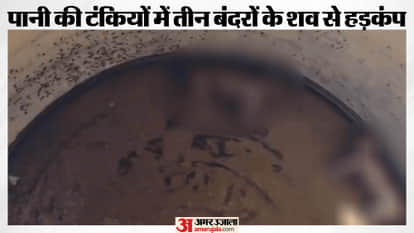 Three dead monkeys were found in the water tanks at the medical college in Nuh.