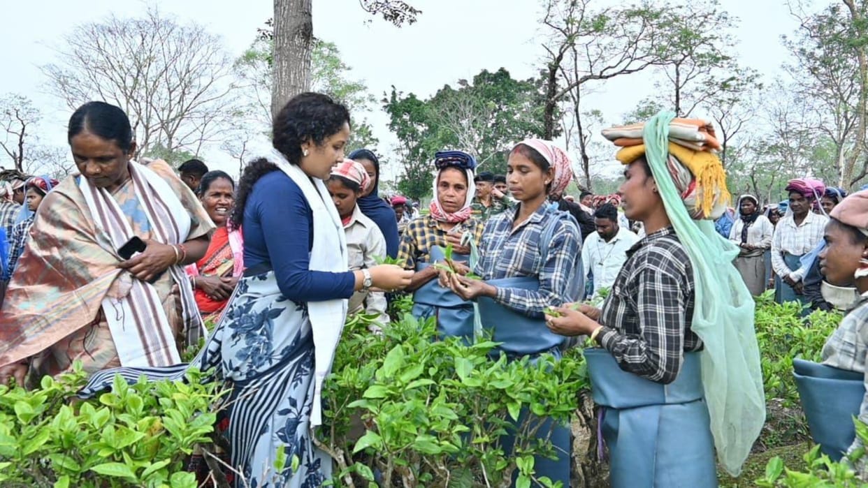 Assam election battle CM Hemant Soren MLA Kalpana Soren visit tea gardens