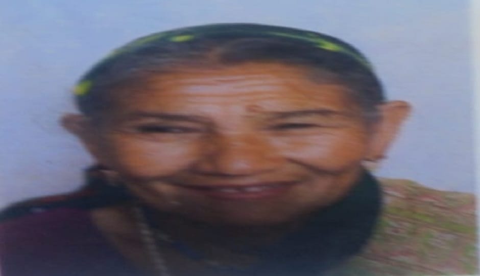 An elderly woman who went to the forest to graze cattle was killed by a tiger in khatima