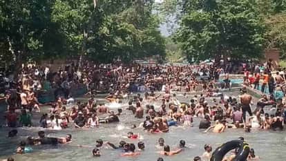 Dehradun News Wild Summer Carnival Held at Lachhiwala Nature Park today