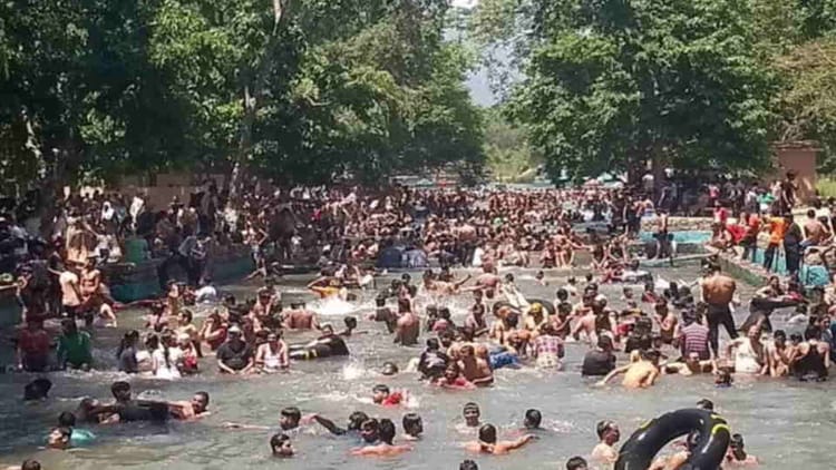 Dehradun: लच्छीवाला नेचर पार्क में आज से वाइल्ड समर कार्निवल; प्रकृति और रोमांच का दिखेगा संगम