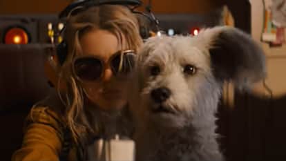 Supergirl trailer released by Warner Bros. and DC starring Milly Alcock David Corenswet and krypto