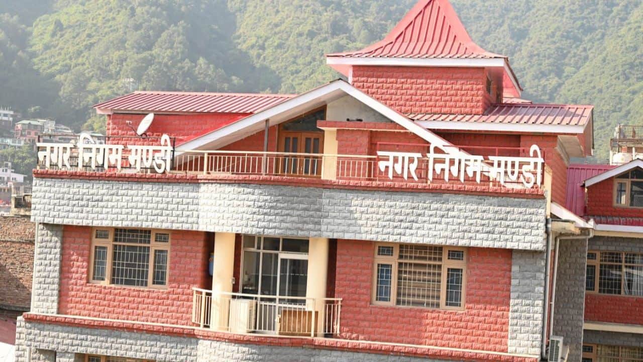 नगर निगम मंडी।