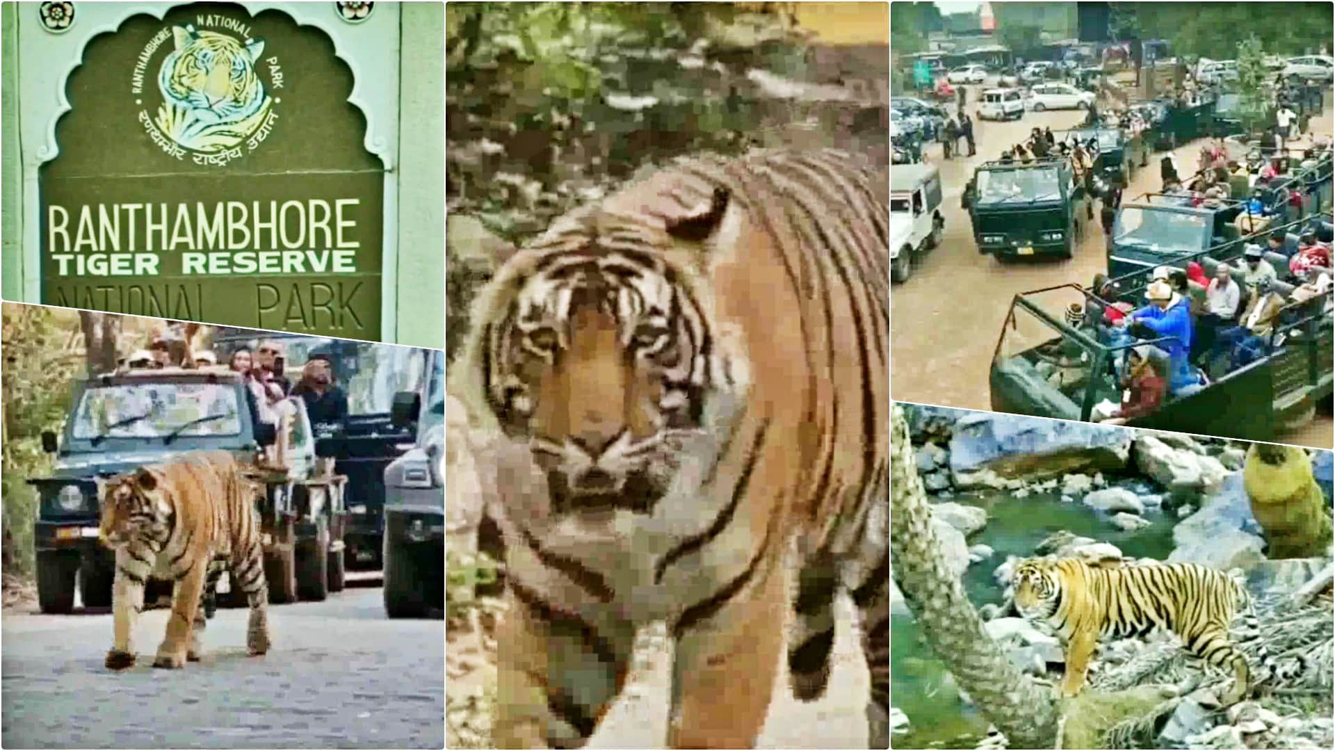 रणथंभौर टाइगर रिजर्व