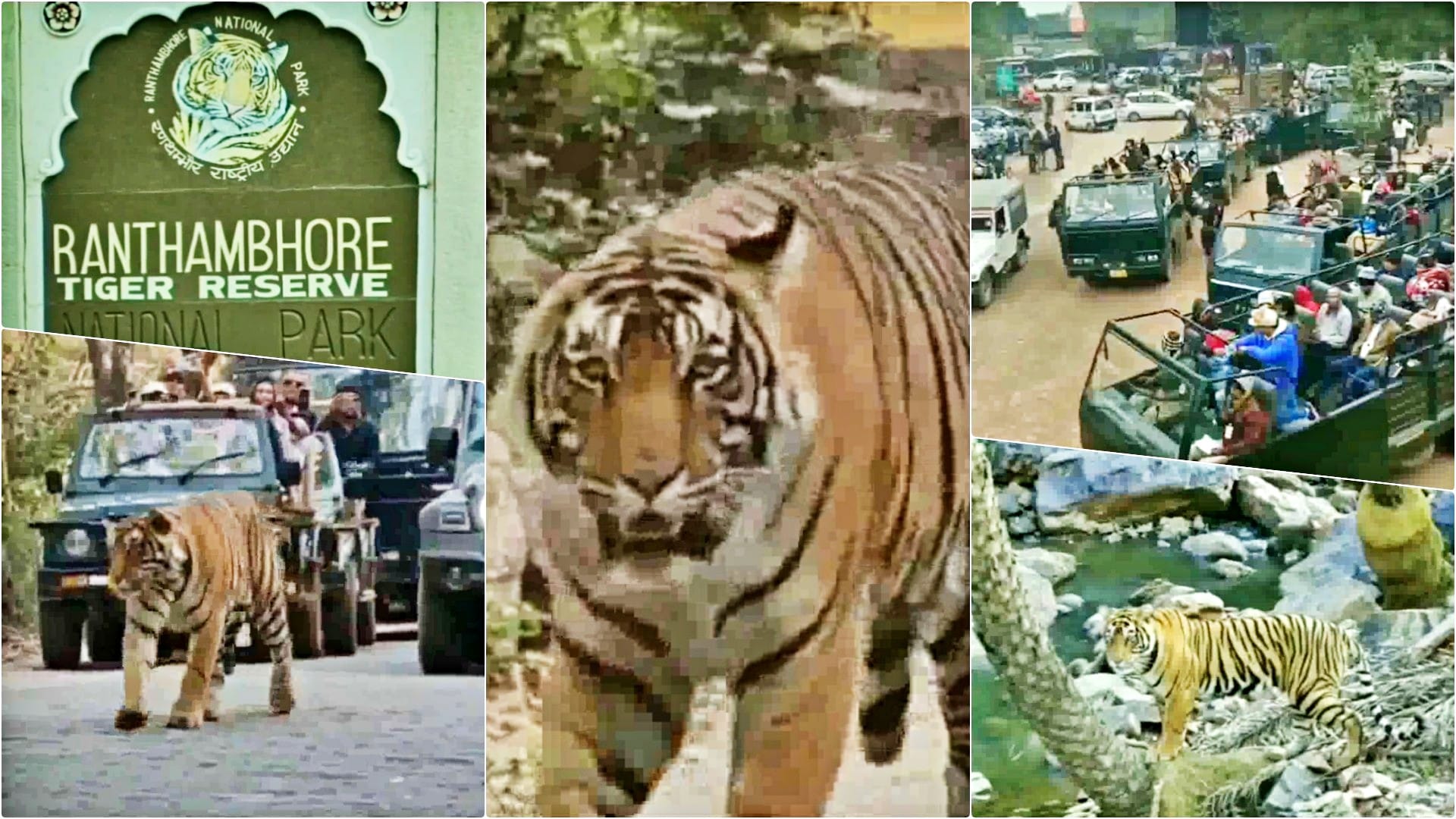 रणथंभौर टाइगर रिजर्व