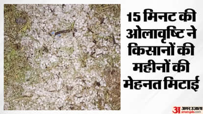 Disaster rained from the sky, hailstorm ruined farmers' crops