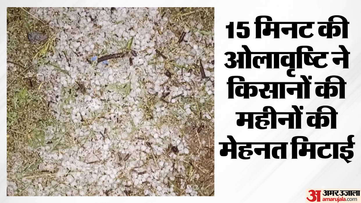 Disaster rained from the sky, hailstorm ruined farmers' crops