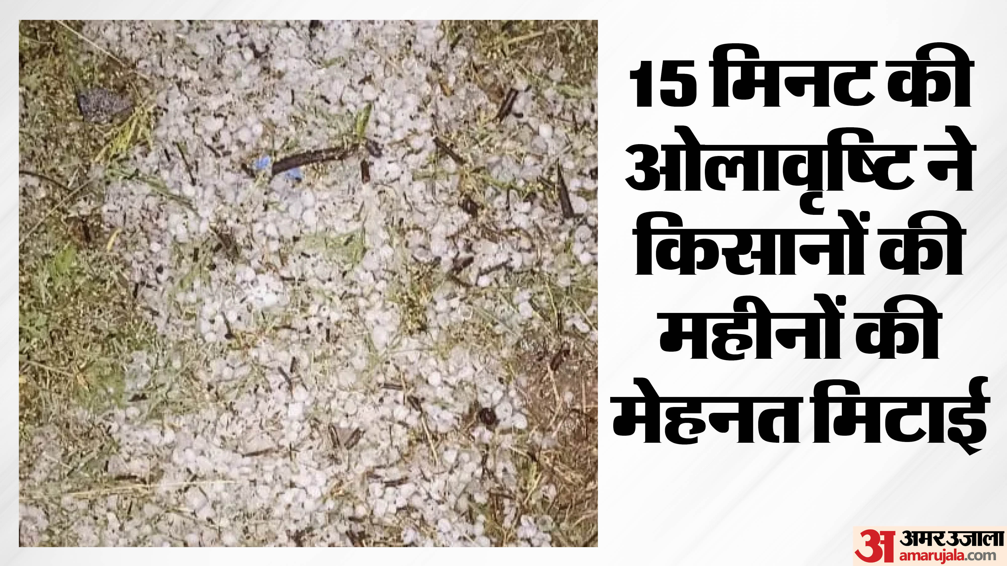 सीहोर और विदिशा में ओलावृष्टि से तबाही
