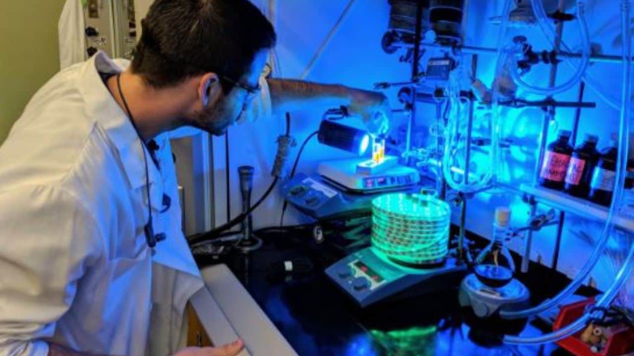 सांकेतिक तस्वीर।