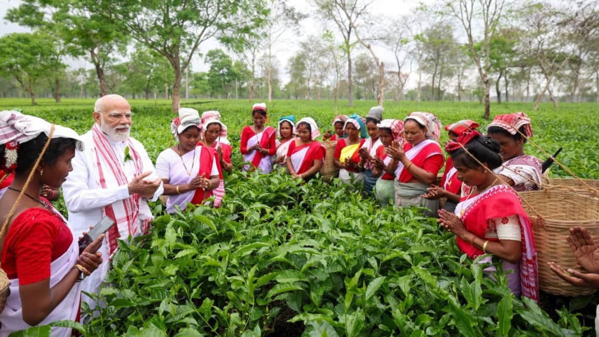 PM Modi Plucks Tea Leaves and Enjoys Jhumur Dance Highlights from Assam Visit in photos