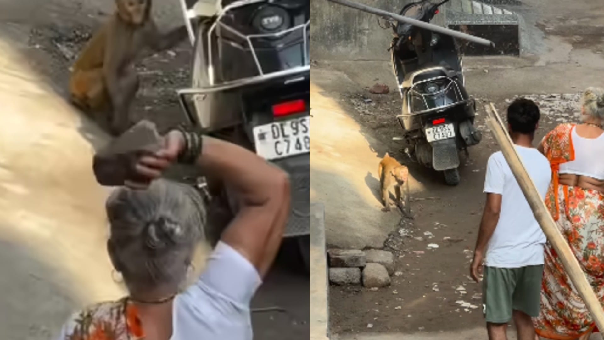 Video Of Clash Between An Elderly Woman And A Monkey Getting Viral