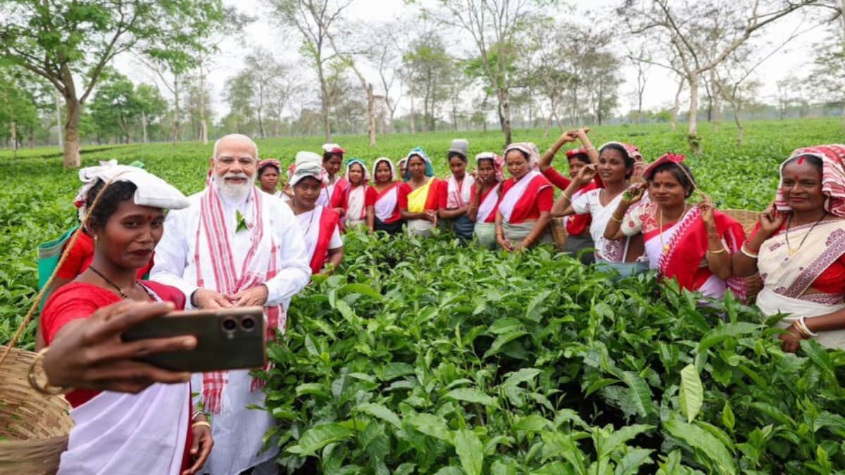 PM Modi Plucks Tea Leaves and Enjoys Jhumur Dance Highlights from Assam Visit in photos