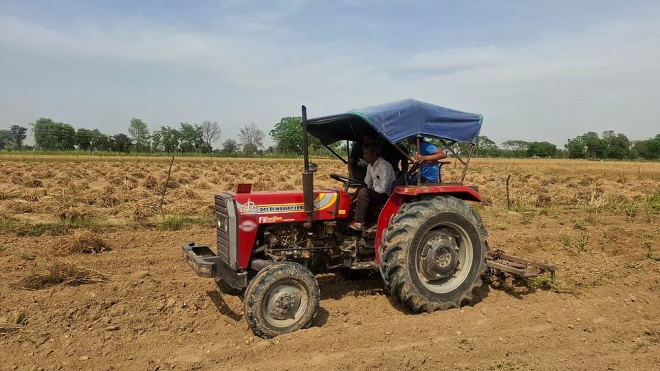 farmer plowed five bighas of potato crop