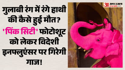Controversy Erupts in Jaipur After Elephant Painted Pink Dies; Probe Ordered