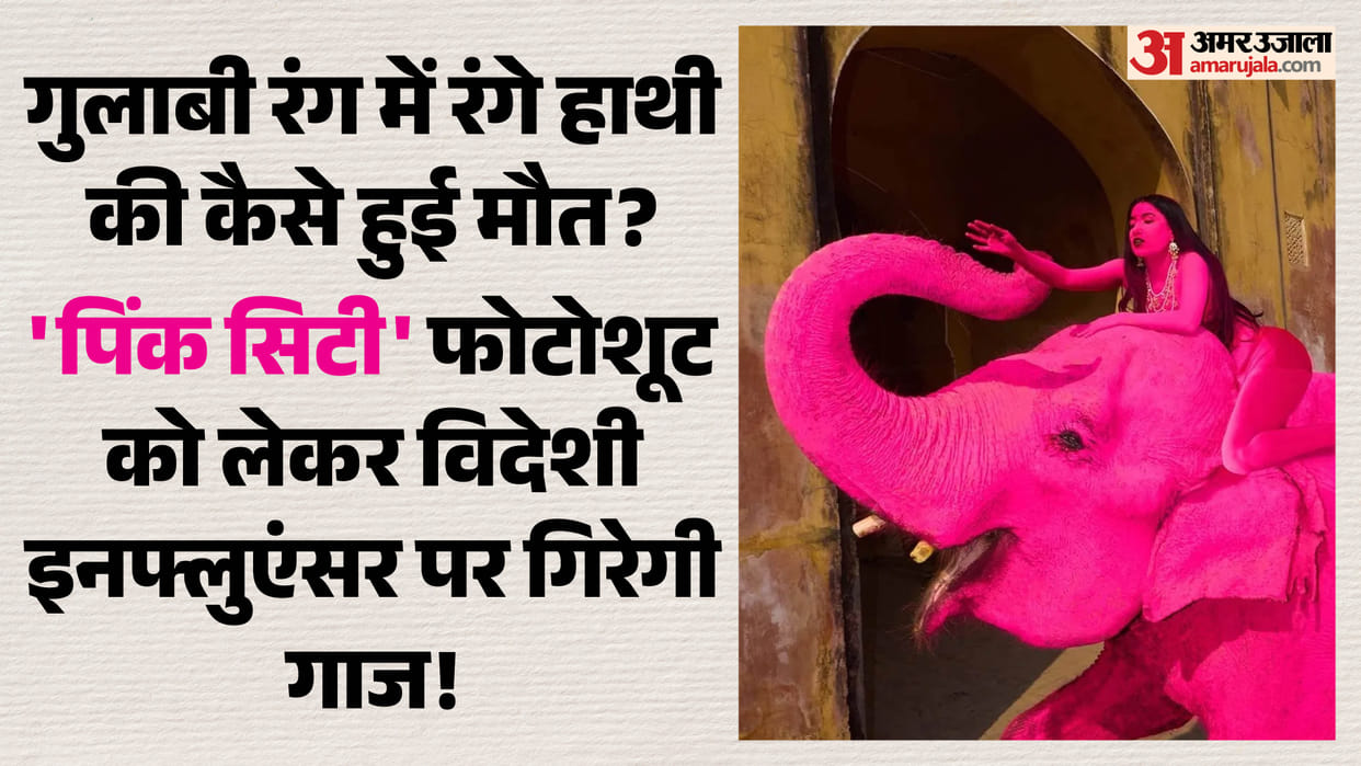 Controversy Erupts in Jaipur After Elephant Painted Pink Dies; Probe Ordered