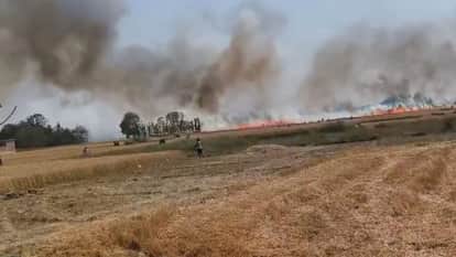 short circuit spark snatched away livelihood of farmers burning 110 acres of standing wheat to ashes Gopalganj