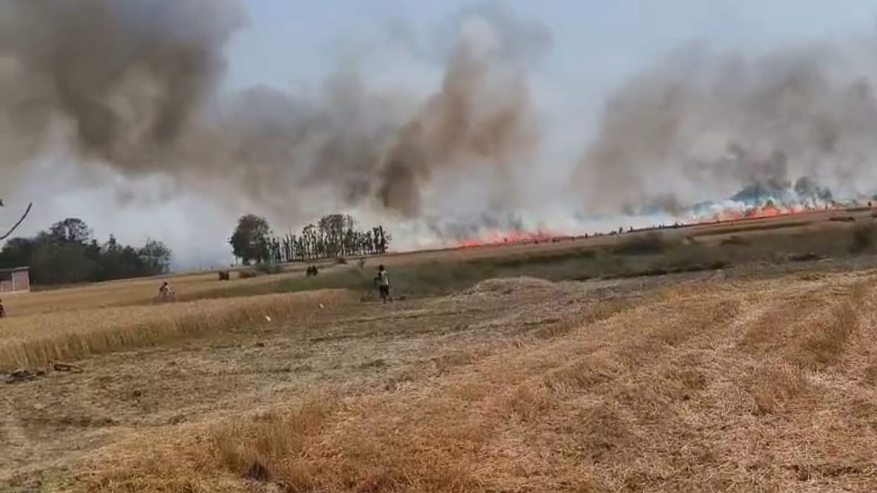 short circuit spark snatched away livelihood of farmers burning 110 acres of standing wheat to ashes Gopalganj