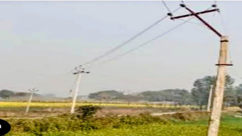 खेतों पर लगे बिजली के खंभे।