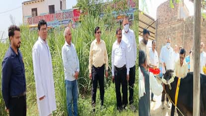 director inspected Gaushalas