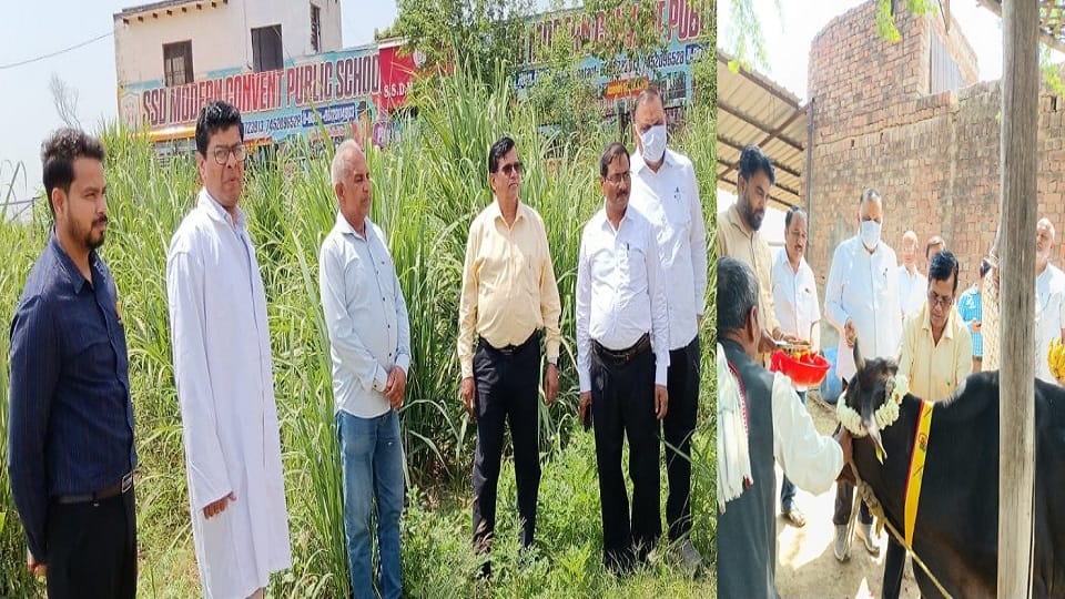 director inspected Gaushalas