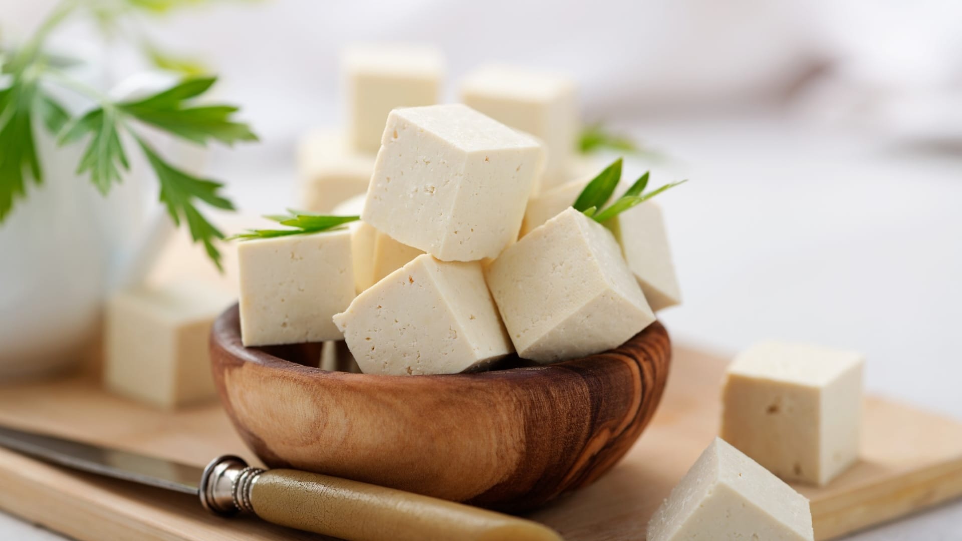 paneer or tofu which is good for health tofu or paneer me difference