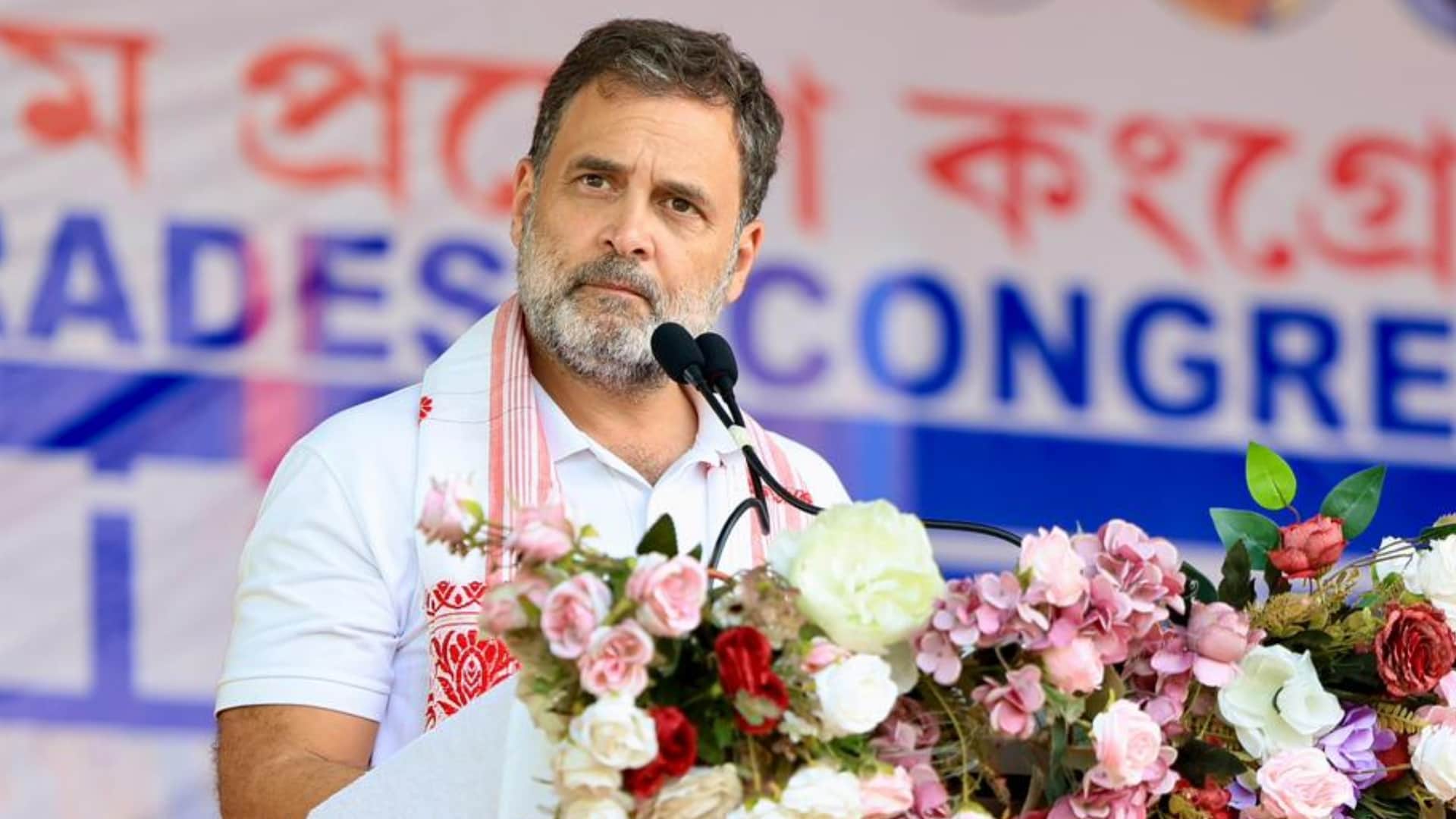 राहुल गांधी, कांग्रेस नेता