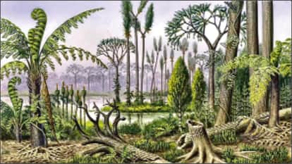 Second Aspect: When and how did plants appear on Earth? The story of plants begins with wate