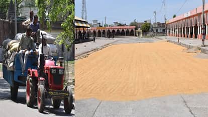 Farmers upset due to unseasonal rain and hailstorm