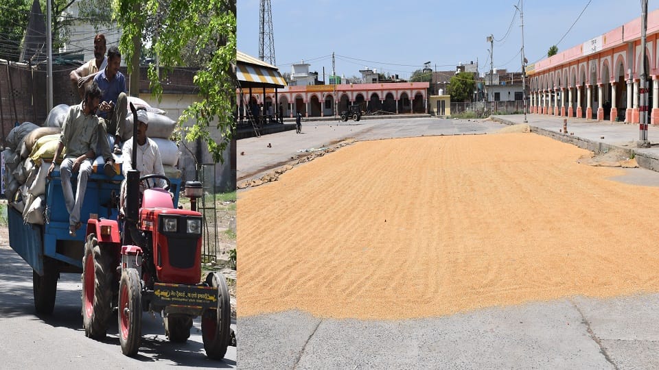 Farmers upset due to unseasonal rain and hailstorm