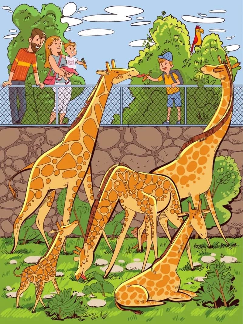 तस्वीर में छिपी है मछली, सिर्फ जीनियस ही 15 सेकेंड में ढूंढ सकते हैं