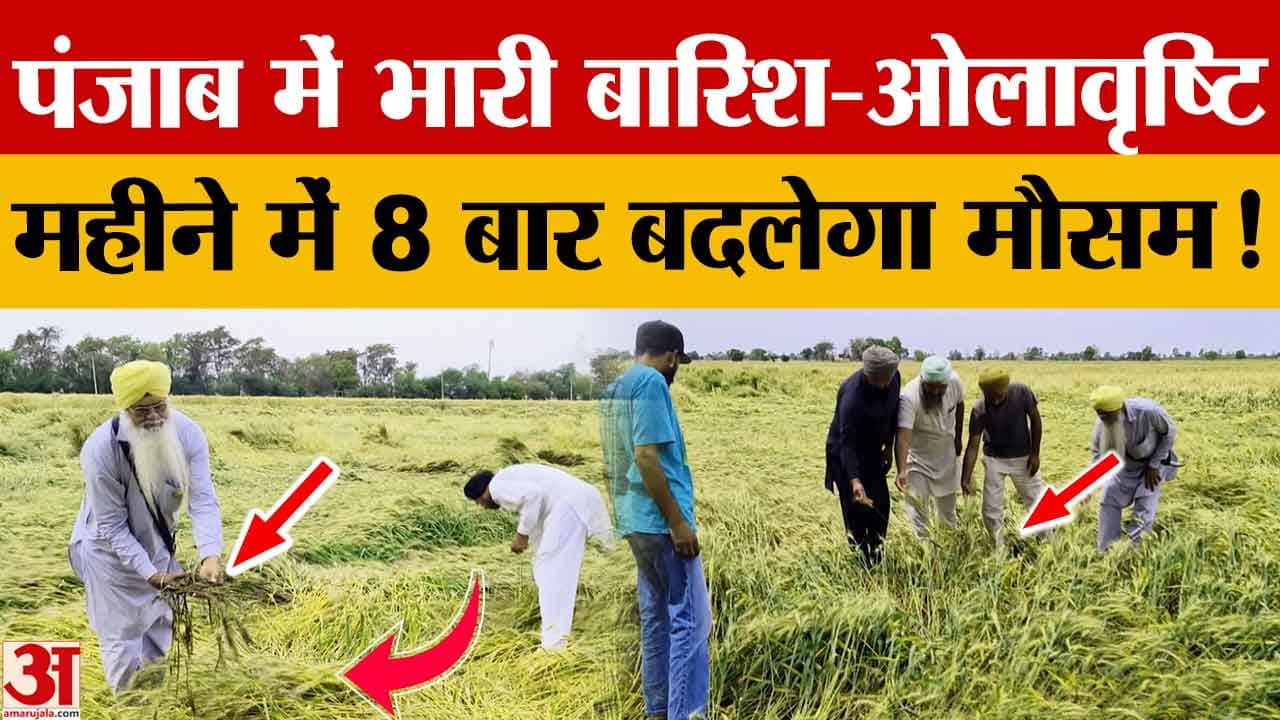 पंजाब में पश्चिमी विक्षोभ का असर: 3-4 अप्रैल को तेज हवाएं, बारिश-ओलावृष्टि; ऑरेंज अलर्ट जारी