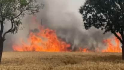 Azamgarh news of About 85 bighas of wheat burnt in incidents of short circuit and fire