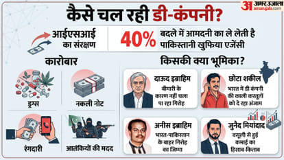 कैसे चल रही डी कंपनी