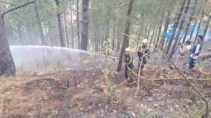 Fire Breaks Out in Gopeshwar chamoli Pine Forest Brought Under Control Within an Hour, Major Disaster Averted