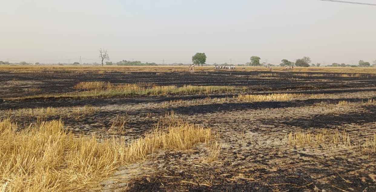 Auraiya Fire Rages in Kathghor 150 Bighas of Crops Belonging to 22 Farmers Reduced to Ashes
