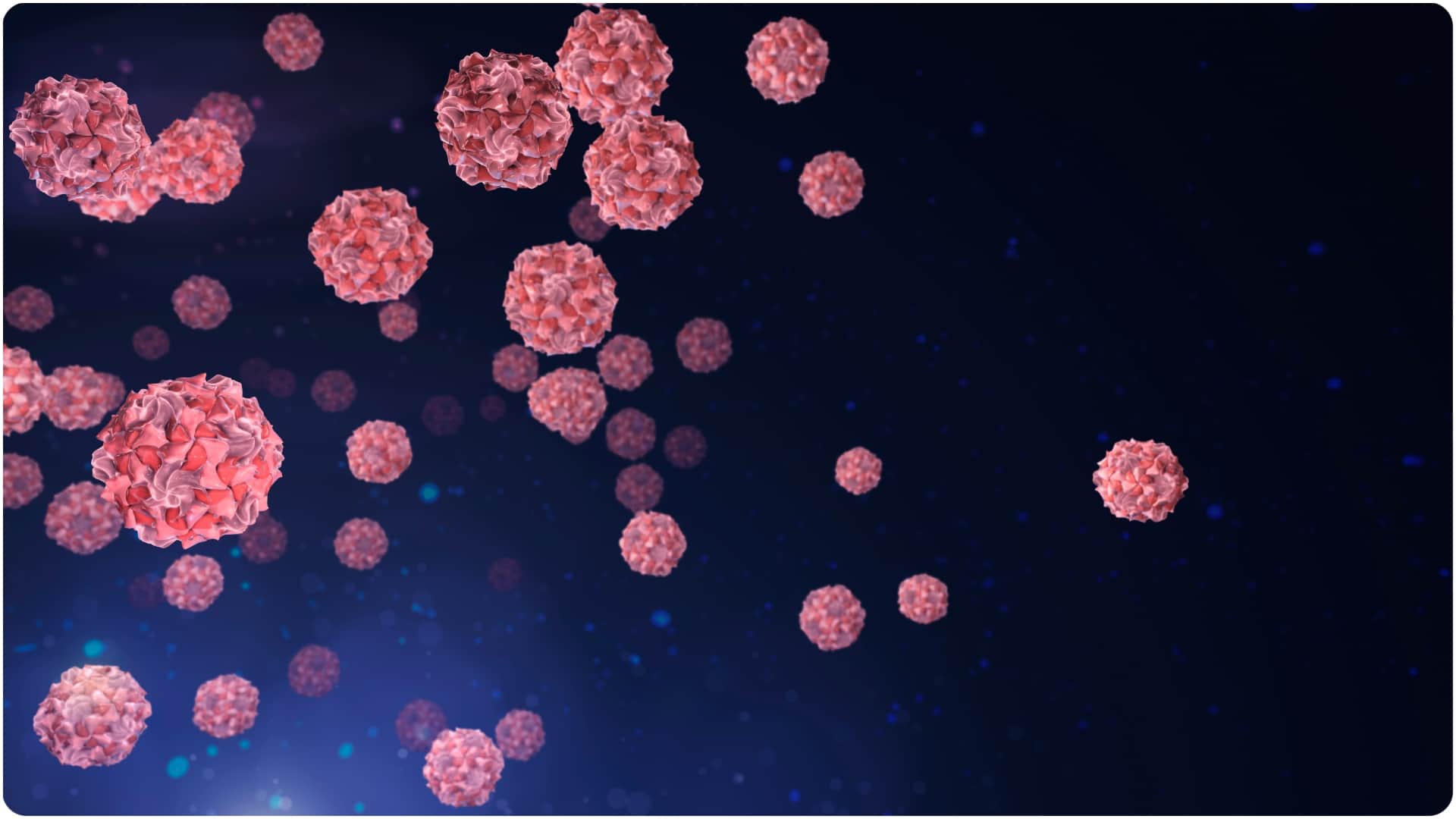 hanta virus explained symptoms causes and how it spreads in hindi what is the hanta virus