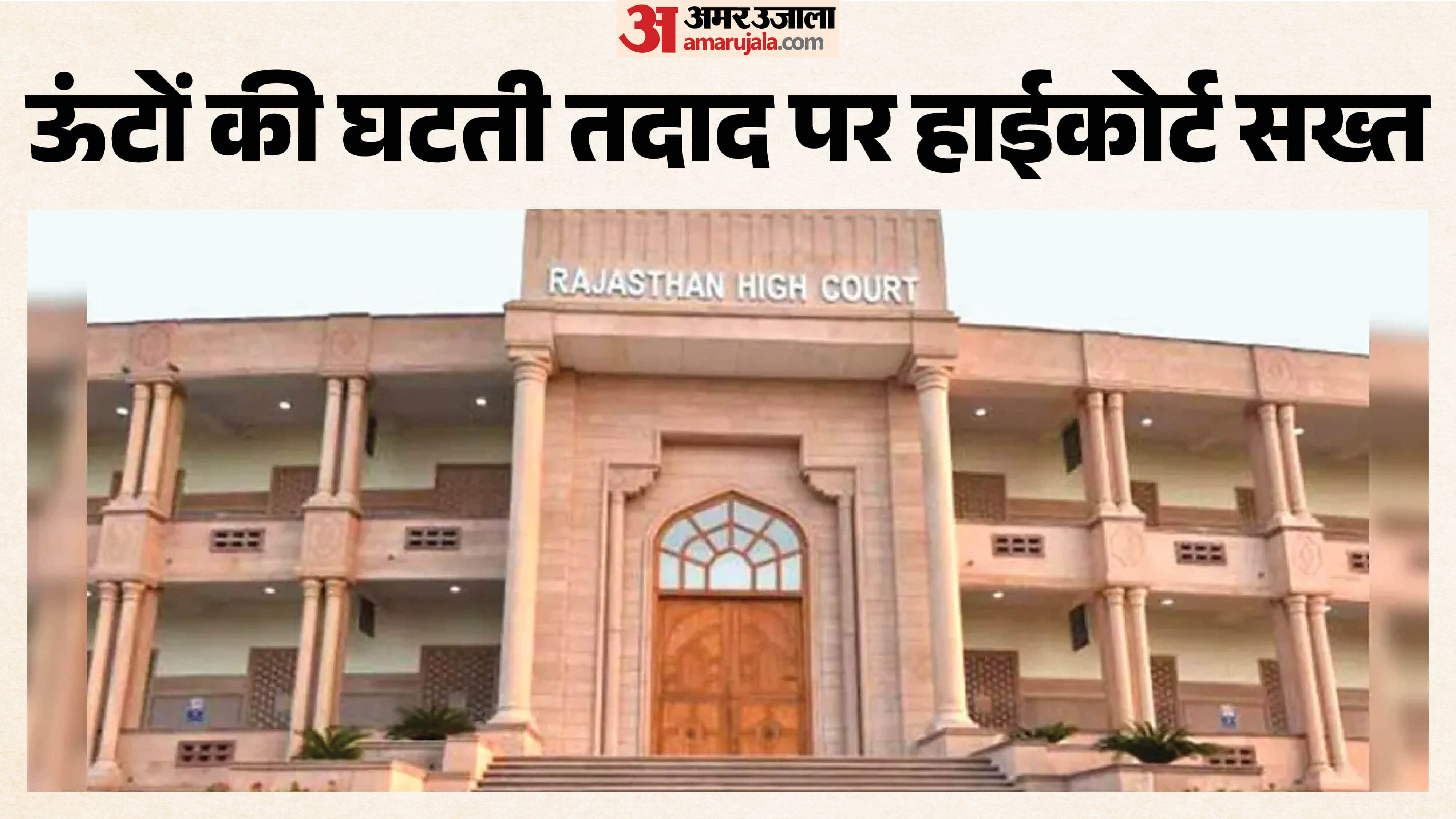 ऊंटों की आबादी को लेकर हाईकोर्ट ने राज्य सरकार को लगाई फटकार