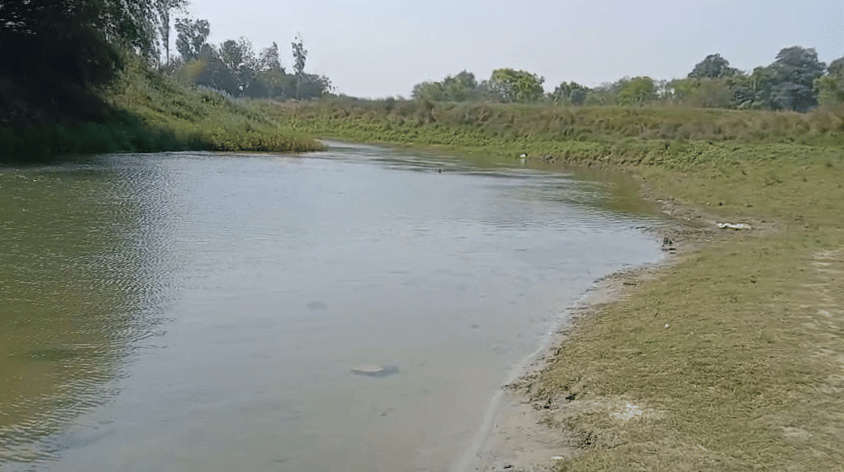 महिला ने नदी में लगाई छलांग।