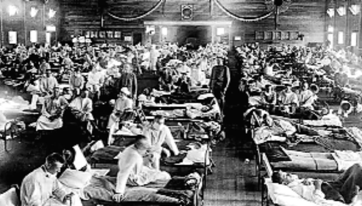 Singular Census of 1921 When the Population Declined Instead of Growing The Impact of the Spanish Flu