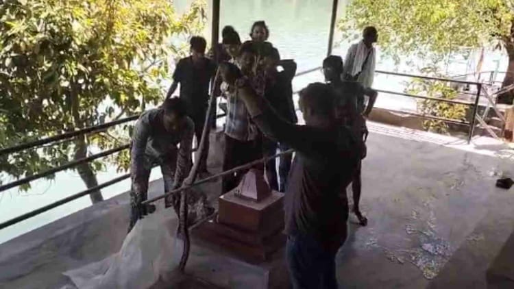 Rishikesh: गंगा किनारे निकला सात फीट लंबा कॉपरहेड सांप, आरती स्थल पर दहशत, वन विभाग की टीम ने किया रेस्क्यू